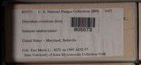 Image Associated With the Occurence